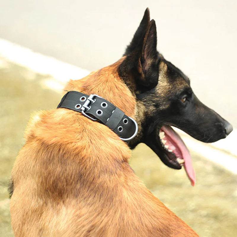 2" Wide Tactical Heavy Duty Nylon Large Dog Collar K9 Military With Metal Buckle